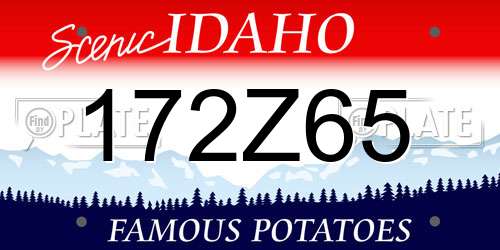 172Z65 Idaho License Plate