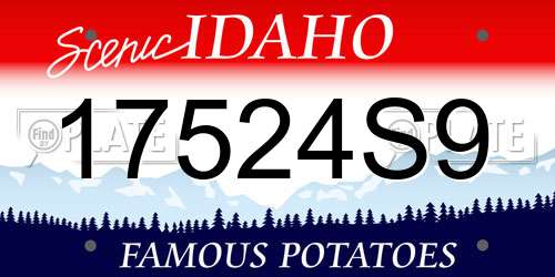 17524S9 Idaho License Plate
