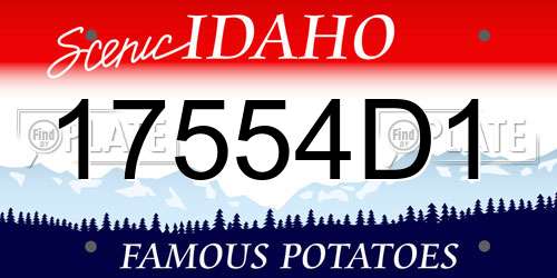 17554D1 Idaho License Plate