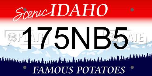 175NB5 Idaho License Plate