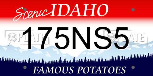 175NS5 Idaho License Plate