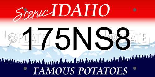 175NS8 Idaho License Plate