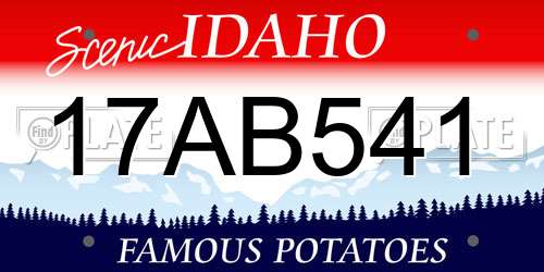 17AB541 Idaho License Plate