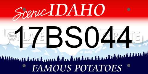 17BS044 Idaho License Plate