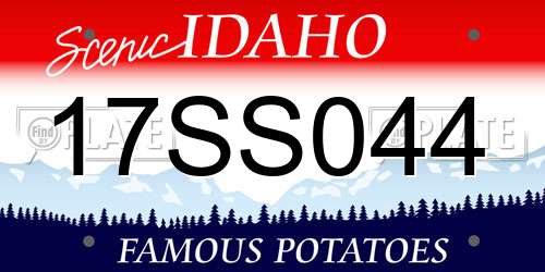 17SS044 Idaho License Plate