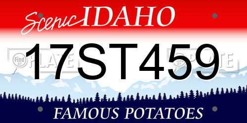 17ST459 Idaho License Plate