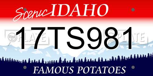 17TS981 Idaho License Plate