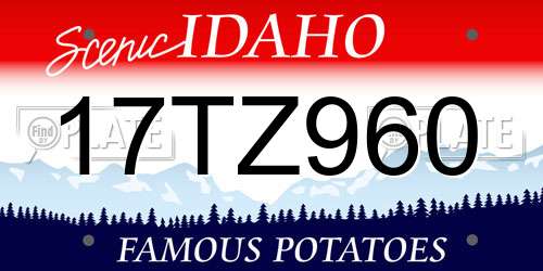 17TZ960 Idaho License Plate