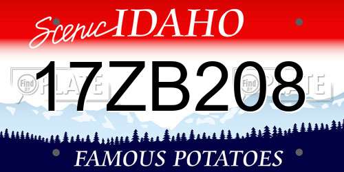 17ZB208 Idaho License Plate