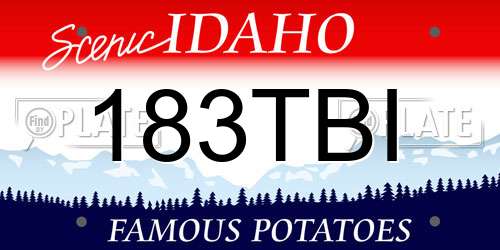 183TBI Idaho License Plate