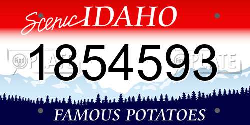1854593 Idaho License Plate