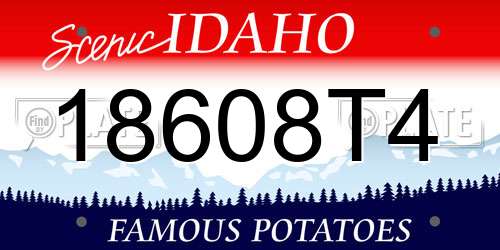 18608T4 Idaho License Plate