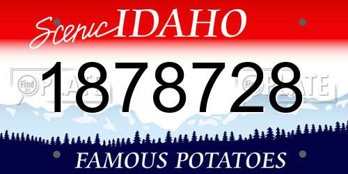 1878728 Idaho License Plate