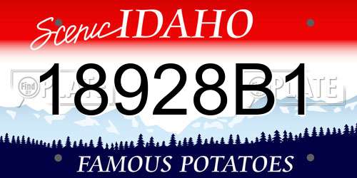 18928B1 Idaho License Plate