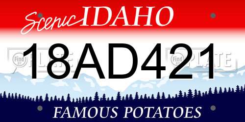 18AD421 Idaho License Plate
