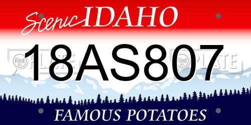 18AS807 Idaho License Plate