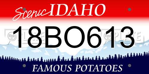 18BO613 Idaho License Plate