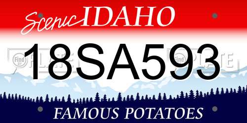 18SA593 Idaho License Plate