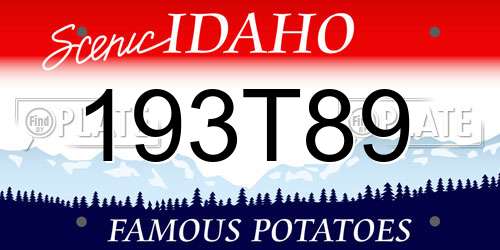 193T89 Idaho License Plate