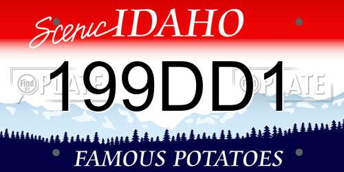 199DD1 Idaho License Plate