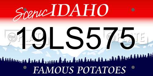 19LS575 Idaho License Plate