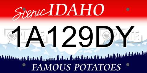 1A129DY Idaho License Plate