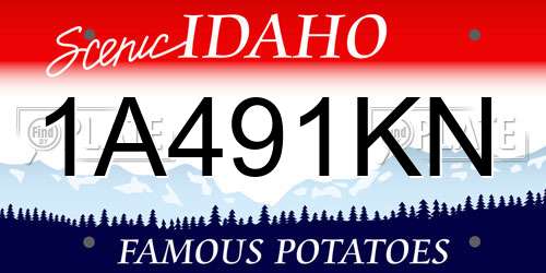 1A491KN Idaho License Plate