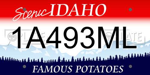 1A493ML Idaho License Plate