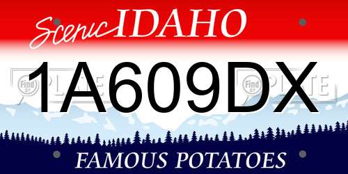 1A609DX Idaho License Plate