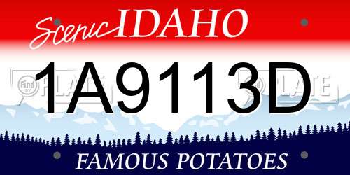 1A9113D Idaho License Plate