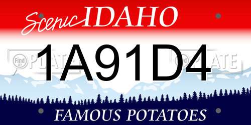 1A91D4 Idaho License Plate