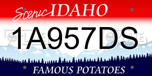 1A957DS Idaho License Plate