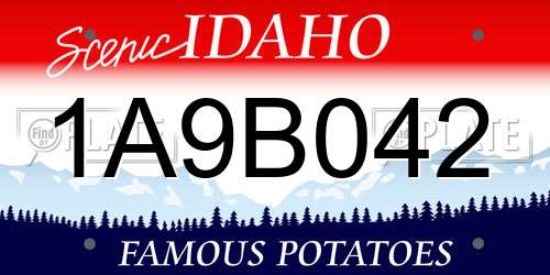 1A9B042 Idaho License Plate