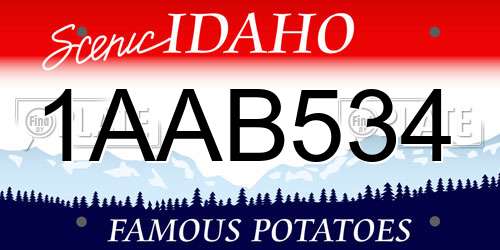 1AAB534 Idaho License Plate