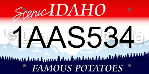 1AAS534 Idaho License Plate
