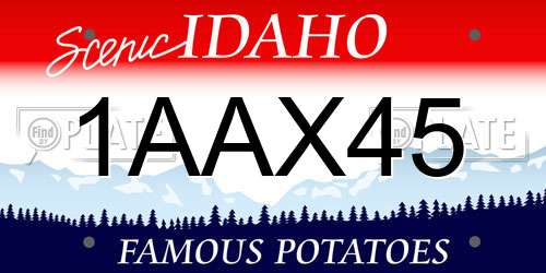 1AAX45 Idaho License Plate