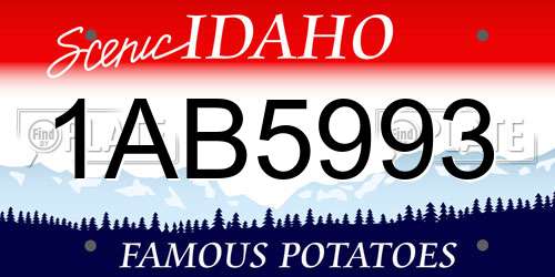 1AB5993 Idaho License Plate