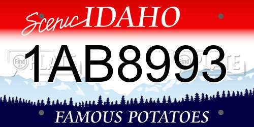 1AB8993 Idaho License Plate