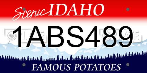 1ABS489 Idaho License Plate