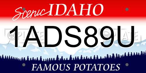 1ADS89U Idaho License Plate