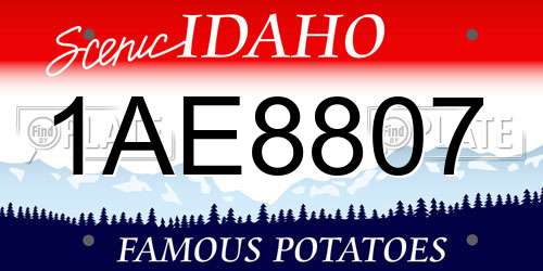 1AE8807 Idaho License Plate