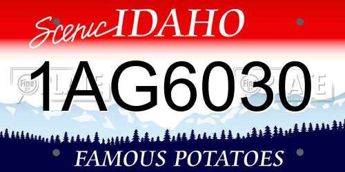 1AG6030 Idaho License Plate