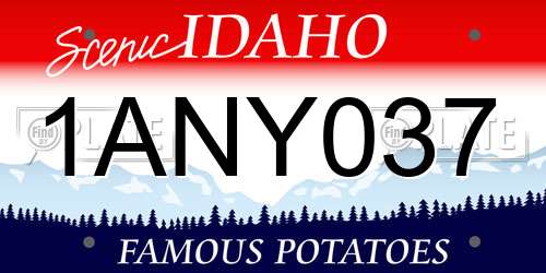 1ANY037 Idaho License Plate