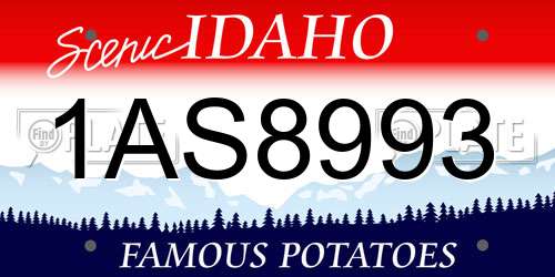 1AS8993 Idaho License Plate