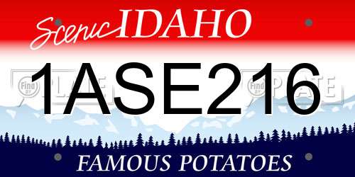 1ASE216 Idaho License Plate