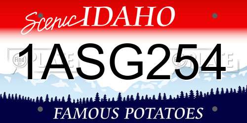1ASG254 Idaho License Plate