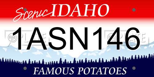 1ASN146 Idaho License Plate