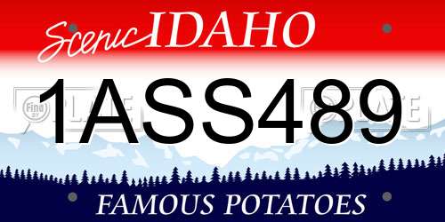 1ASS489 Idaho License Plate