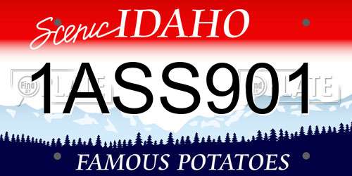 1ASS901 Idaho License Plate