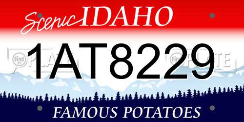 1AT8229 Idaho License Plate